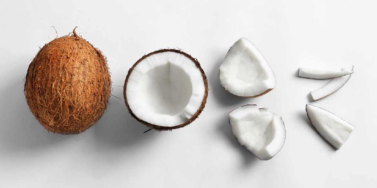 coconut (4)