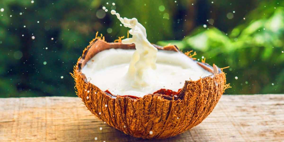 coconut milk