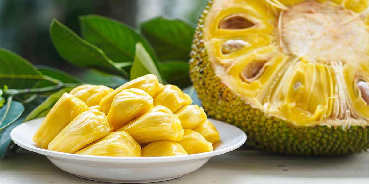 jackfruit