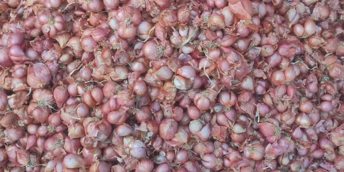 small onion (1)