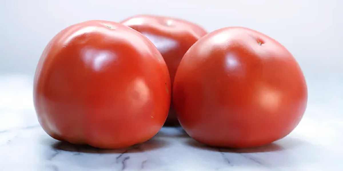 tomato (1)