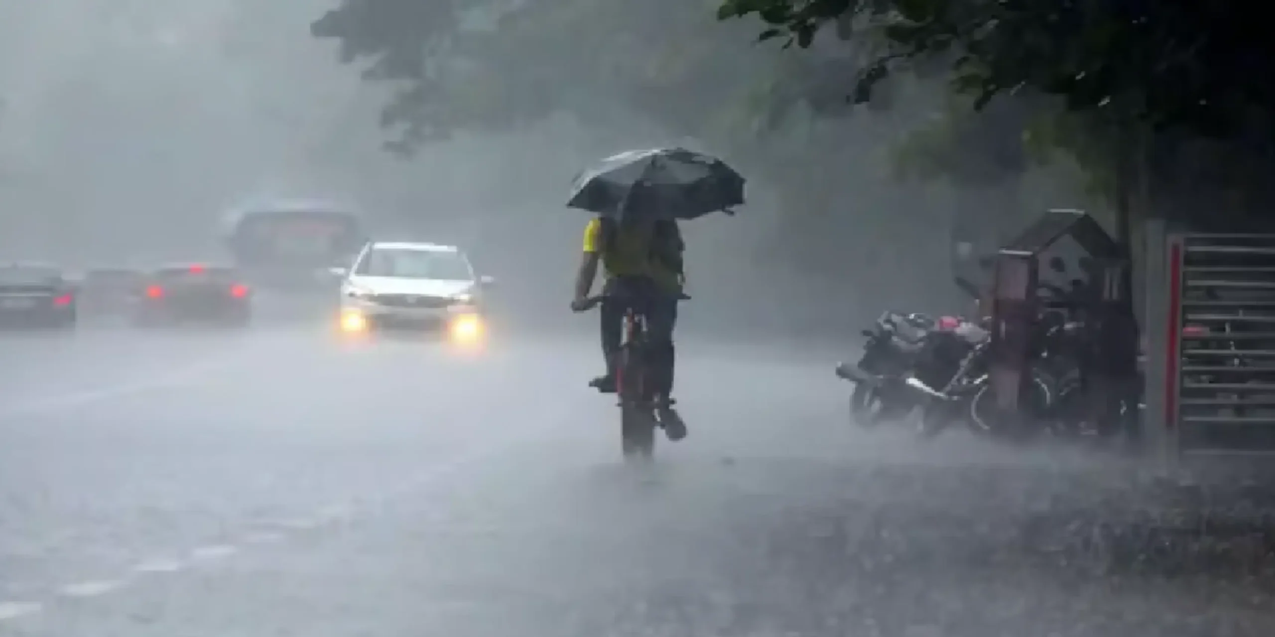Rain in TN