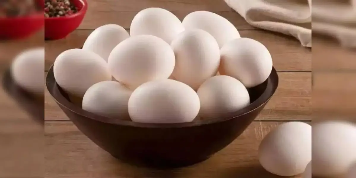 egg (7) (1)