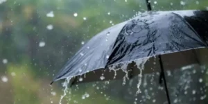 Rain update in TN