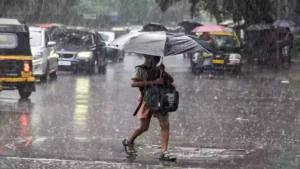 TN RAIN