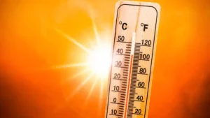 TN Temp