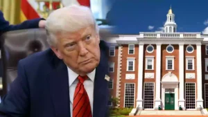 donald trump harvard university