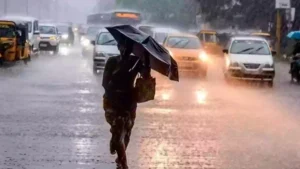tn rain