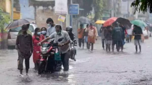 tn rain update