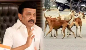 M K Stalin - dog bite