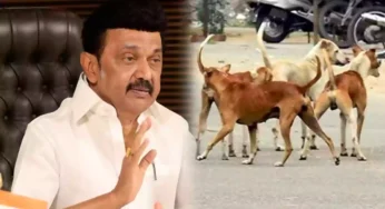 நாய்க்கடி சம்பவங்கள் எதிரொலி: ஆலோசனைக் கூட்டத்தில் எடுக்கப்பட்ட முடிவுகள்!