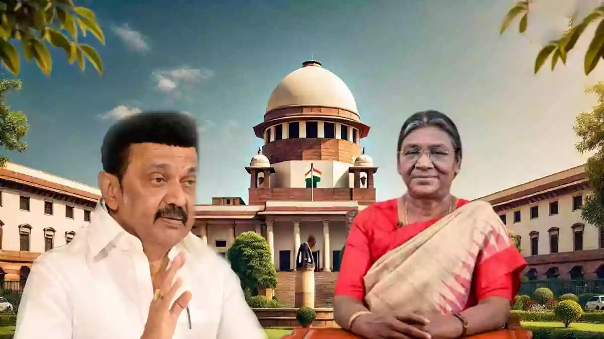 MK Stalin - Draupadi Murmu