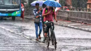 TN Rain