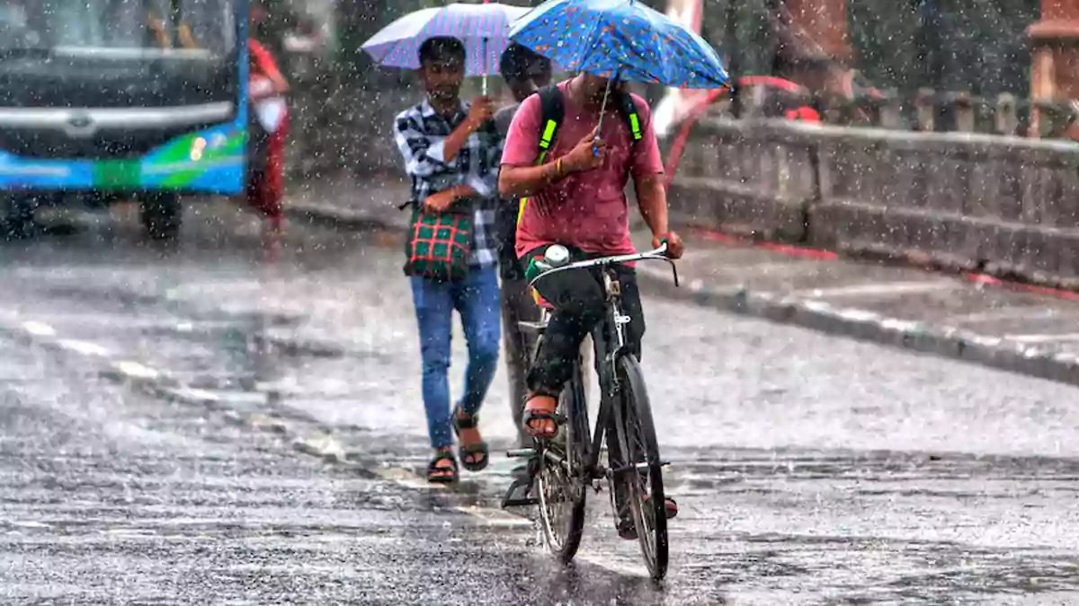 TN Rain
