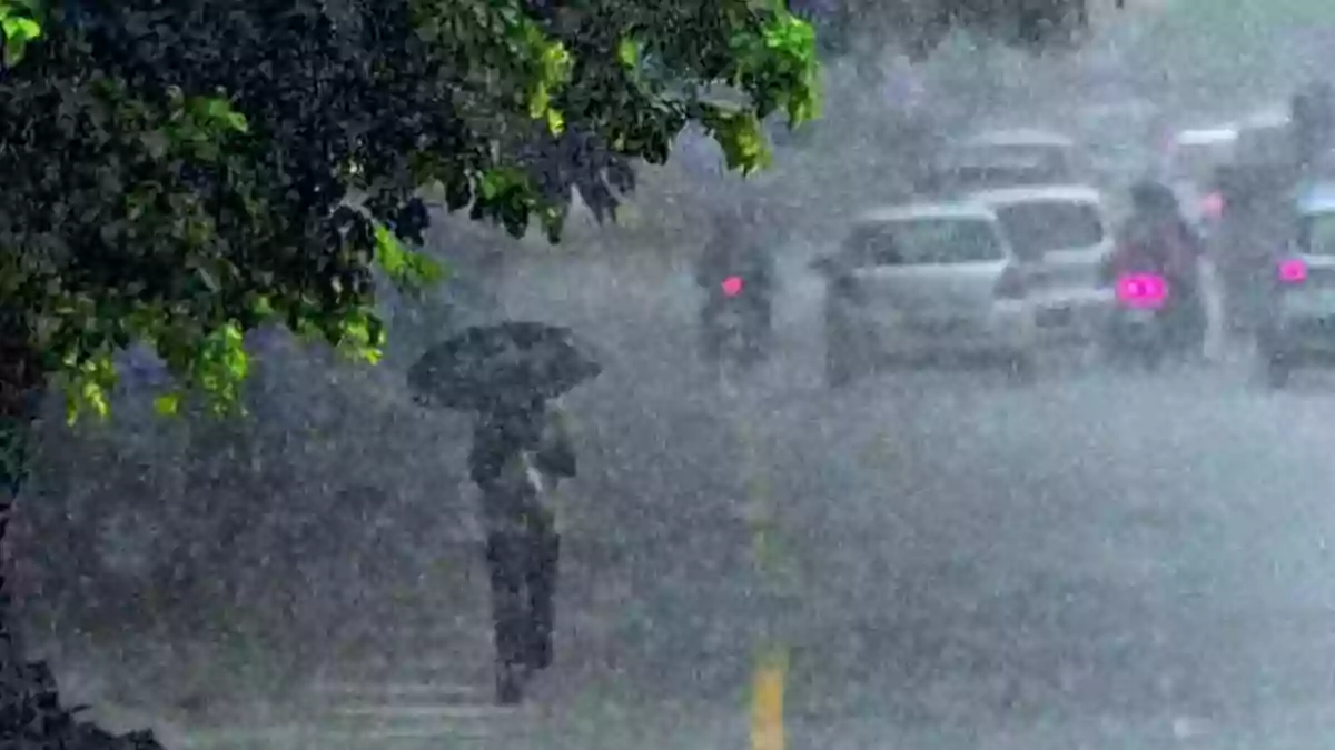 rain tn