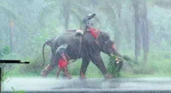 ”கேரளாவில் தொடங்கியது தென்மேற்கு பருவமழை” – வானிலை மையம் கொடுத்த அப்டேட்.!
