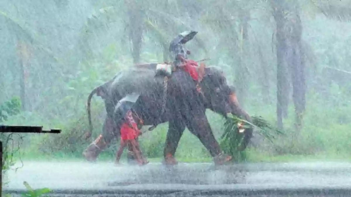 southwest monsoon kerla