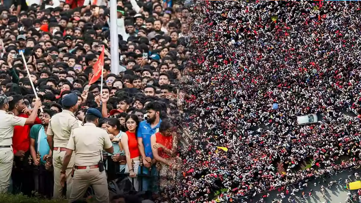 Cricket craze in Bengaluru