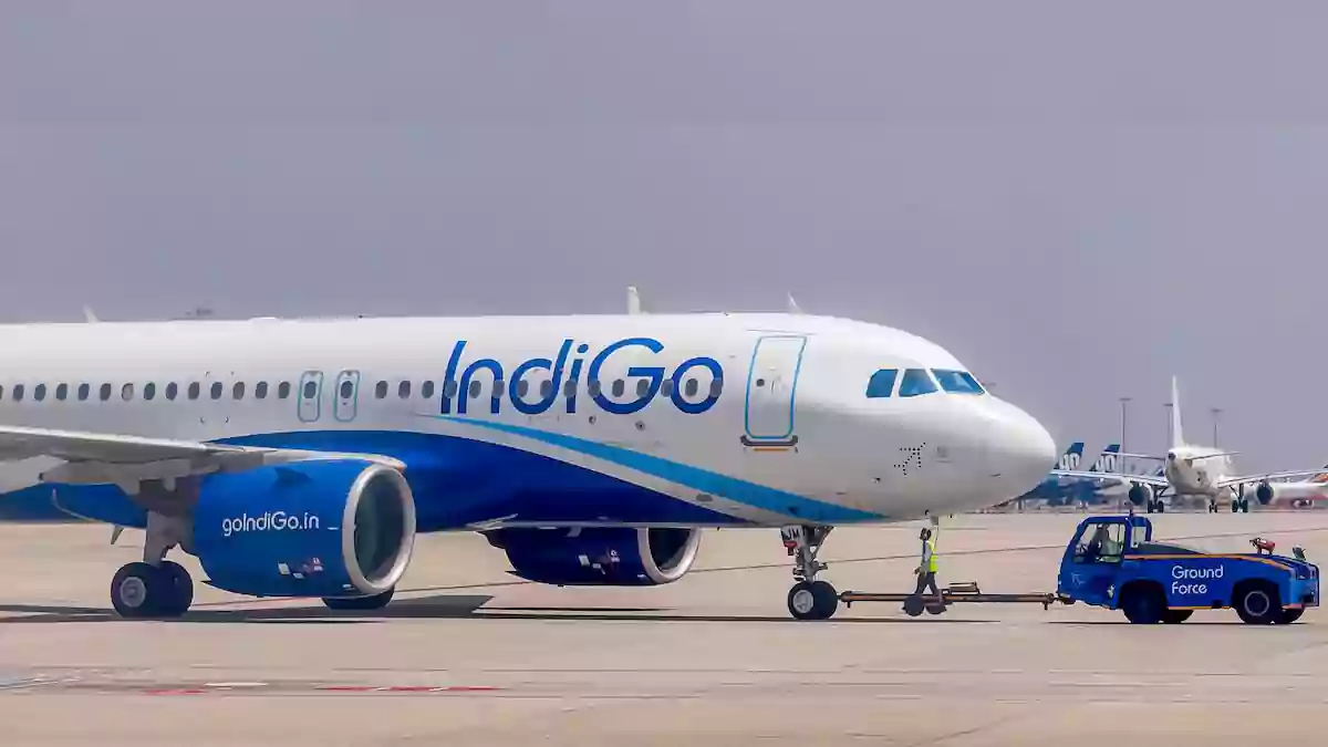 Indigo Flight