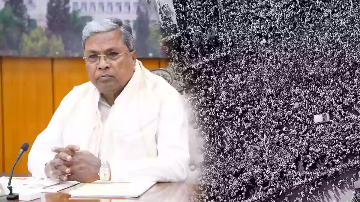 Siddaramaiah rcb fans celebration death
