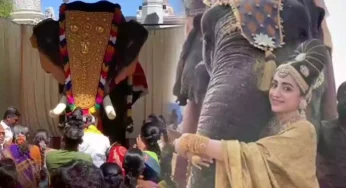 ஆஹா! கோவிலுக்கு இயந்திர யானை வழங்கிய த்ரிஷா…குவியும் வாழ்த்துக்கள்!