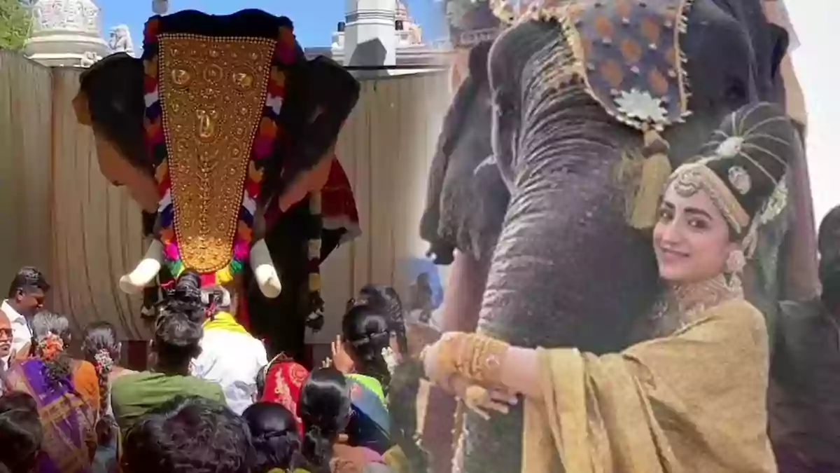ponniyin selvan trisha ELEPHANT
