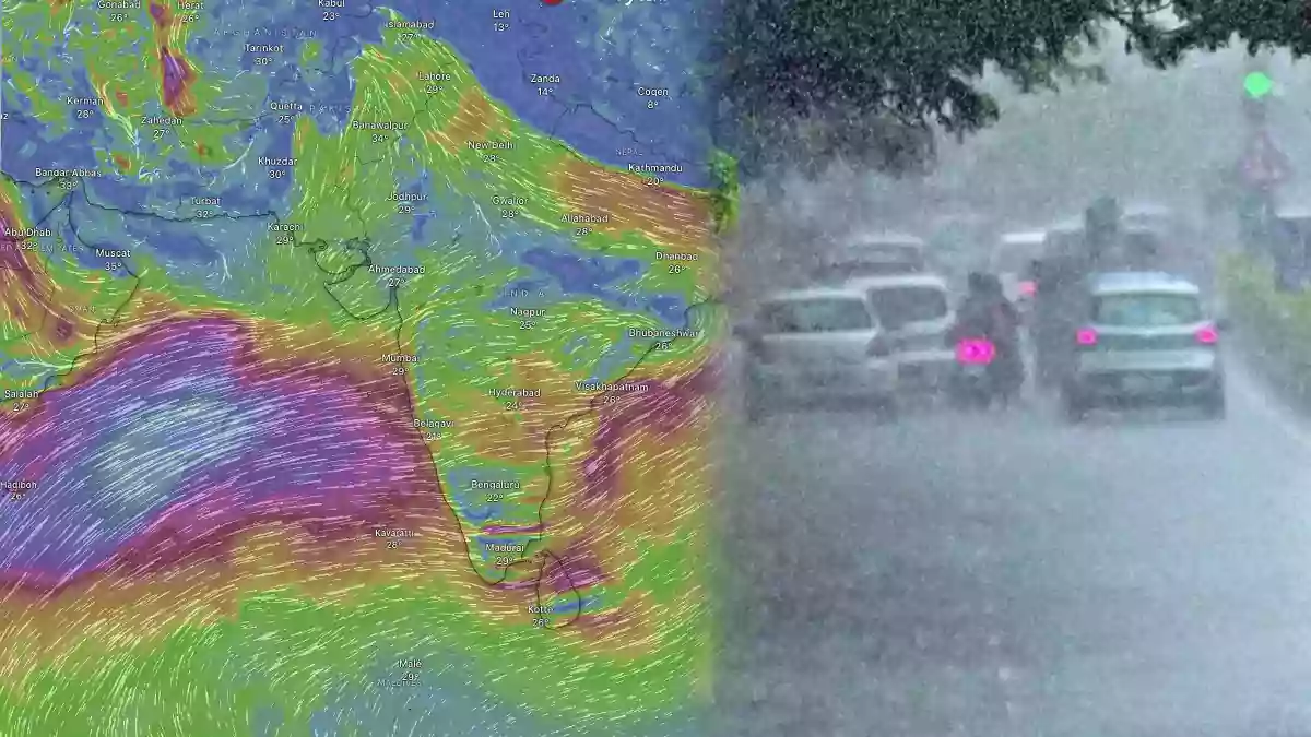 tn rain