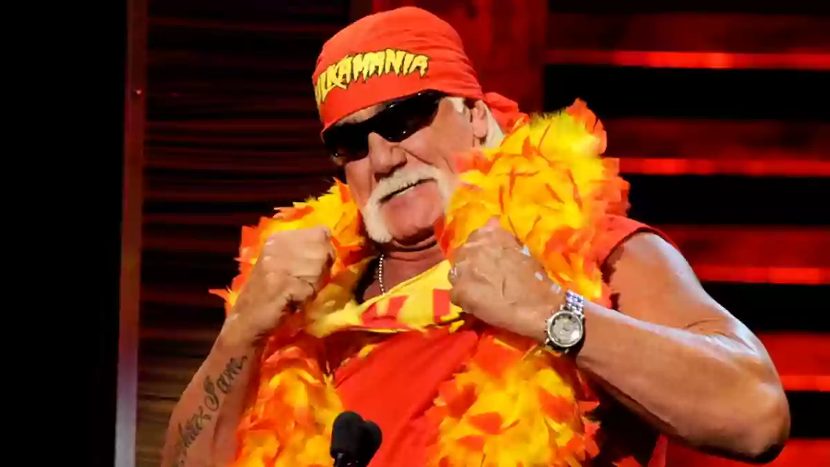 Hulk Hogan WWE