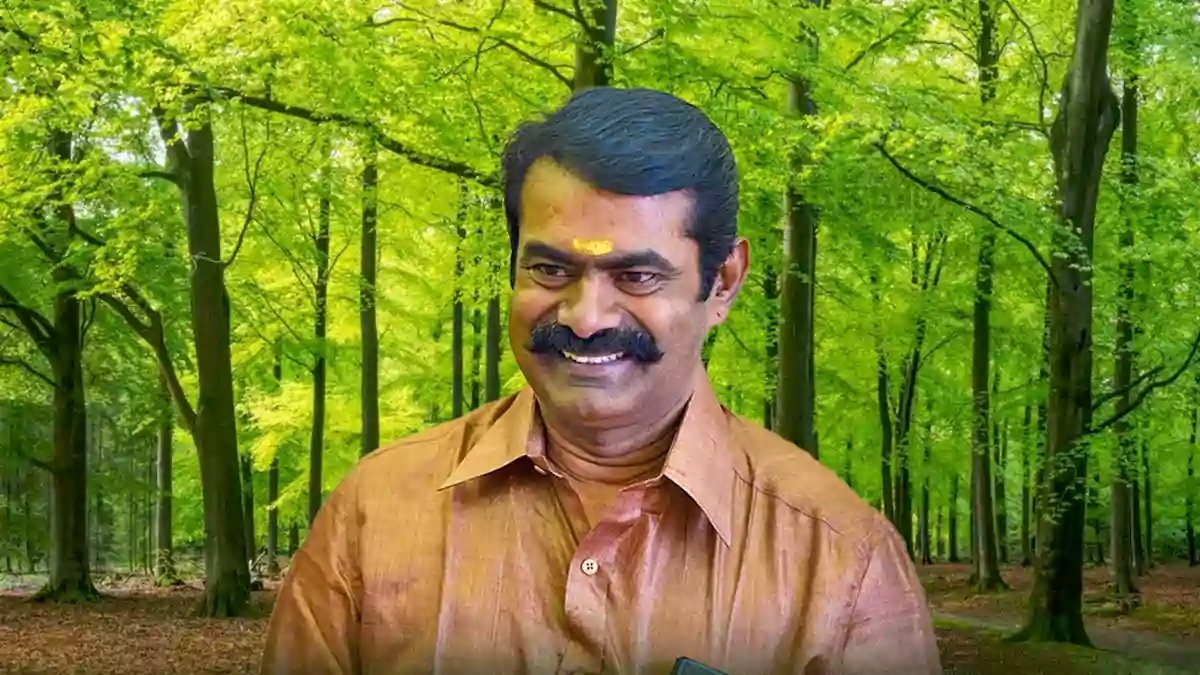 Seeman Trees Summit