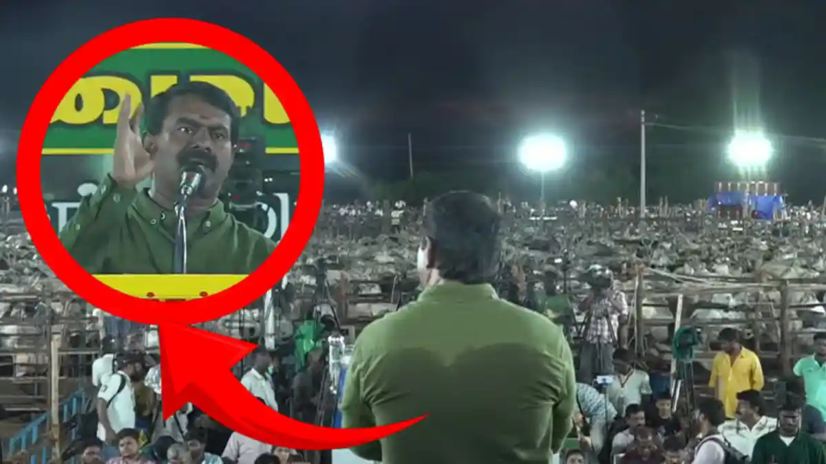 Seeman ntk
