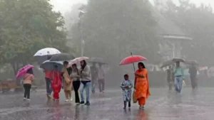 TN Rain