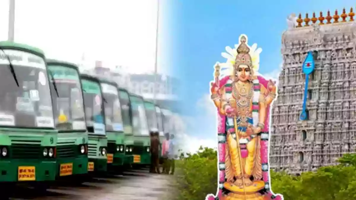 Tiruchendur - buses