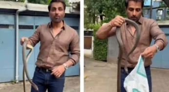 பயப்படாமல் பாம்பை பிடித்த சோனு சூட்..குவிந்த பாராட்டுக்களும், எழுந்த விமர்சனங்களும்!