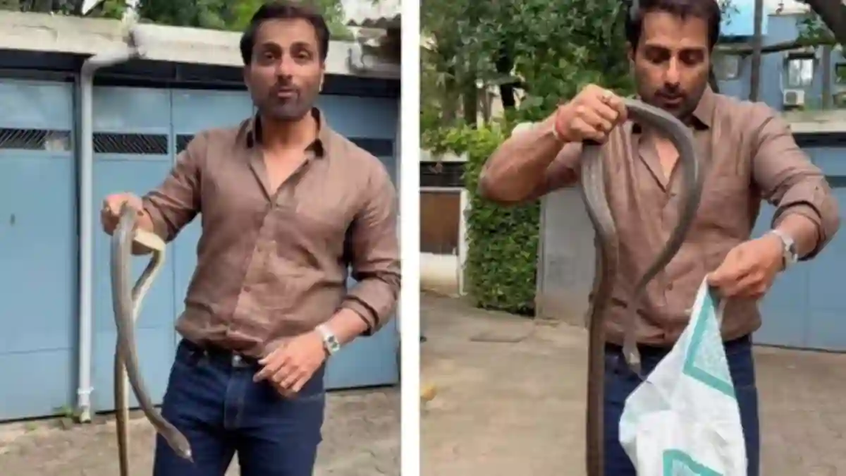 sonu sood snake