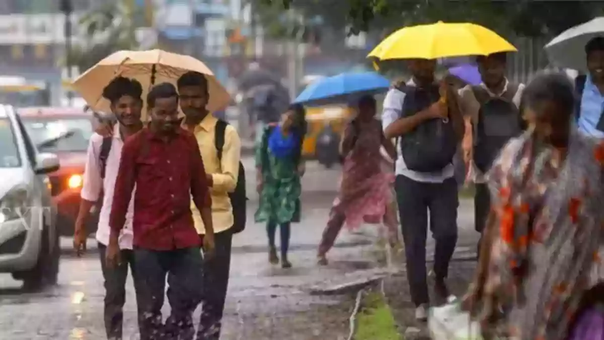 tn rain